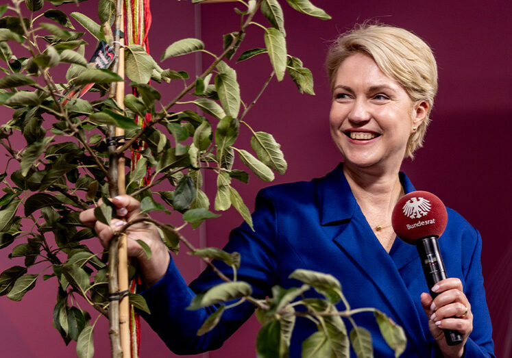 TdDE_Bundesrat_schwesig TdDE_Bundesrat_schwesig